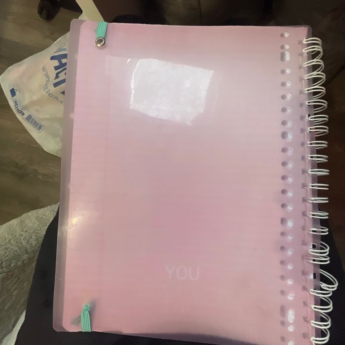 Cahier - photo numéro 2