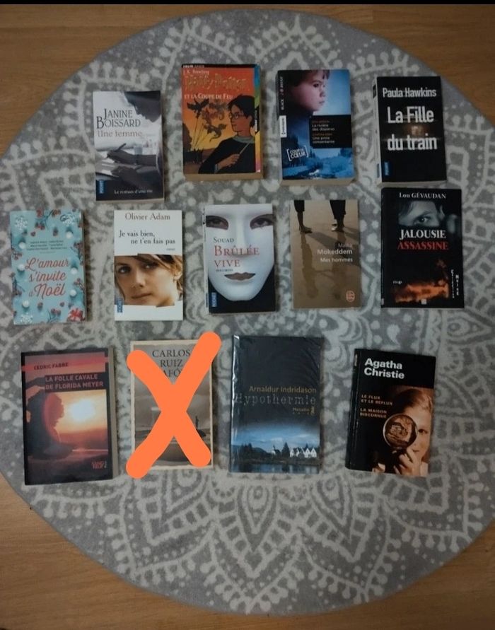 Lot de 12 livres