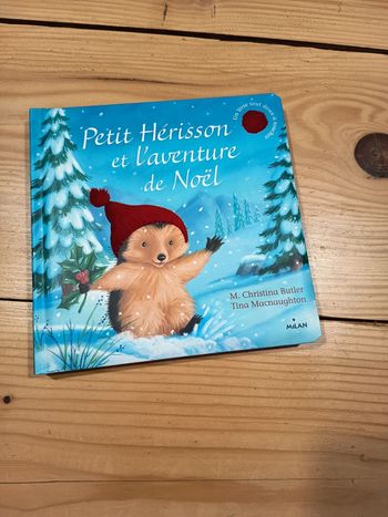 Livre petit hérisson et l'aventure de Noel