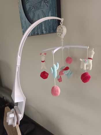 Mobile musical lama cactus