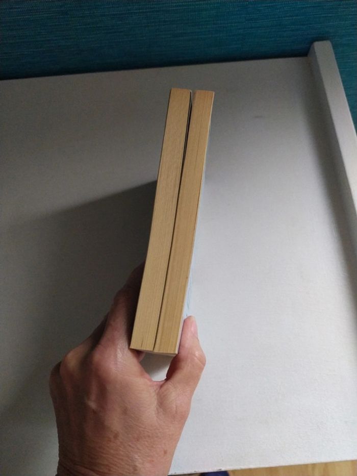 Le livre des Étoiles d'Erik L'homme - photo numéro 6