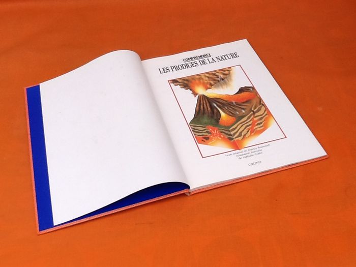 Martyn Bramwell Les prodiges de la nature Editions Gründ - photo numéro 2