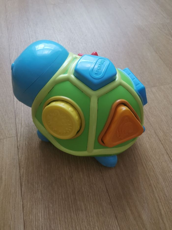 Tortue trieuse de formes - photo numéro 5