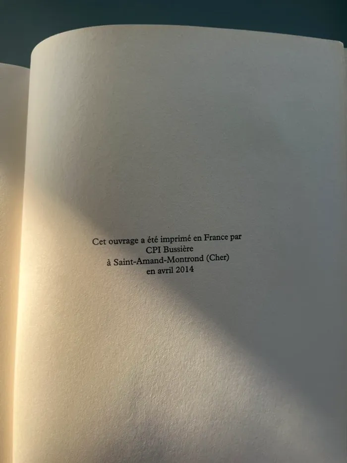 Livre type thrilleur : Le sceptre de Dieu par André Journo - photo numéro 6