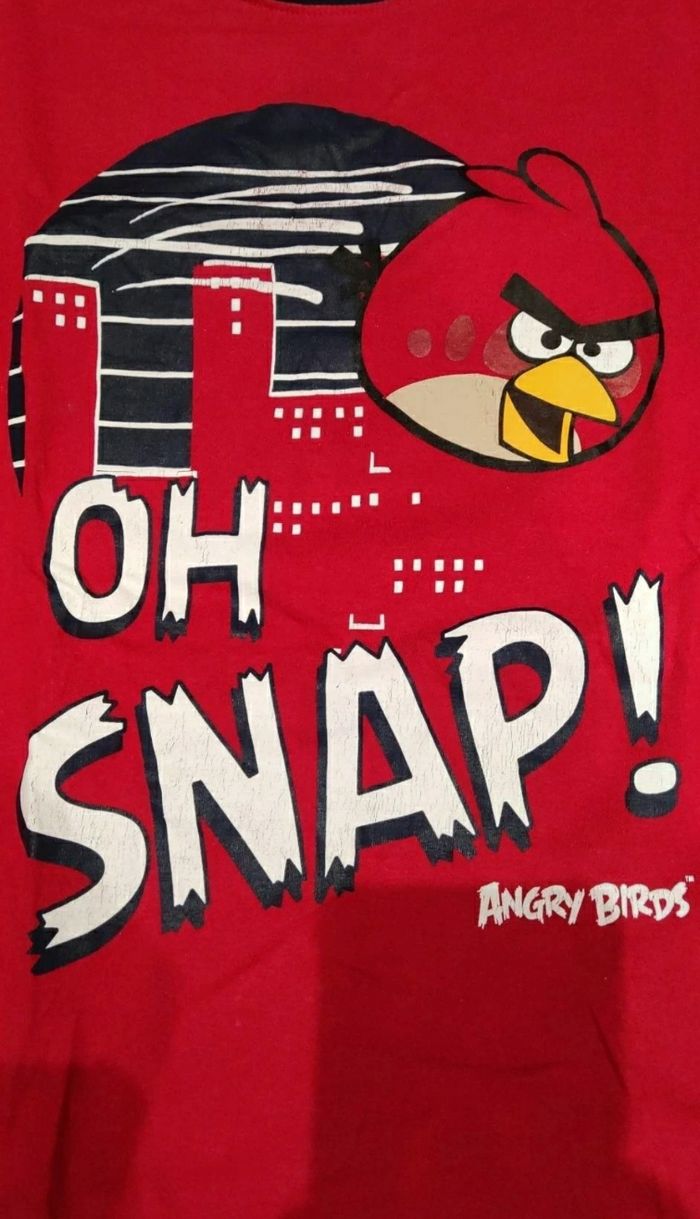 T-shirt garçon 10 ans angry birds - photo numéro 2