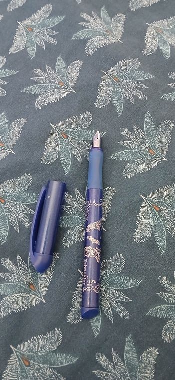 Stylo plume