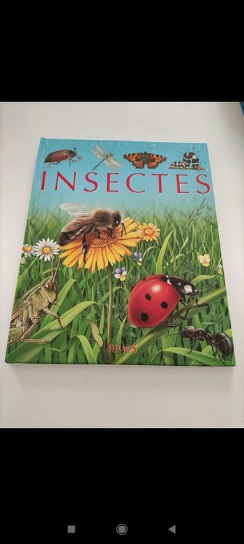 Livre les insectes