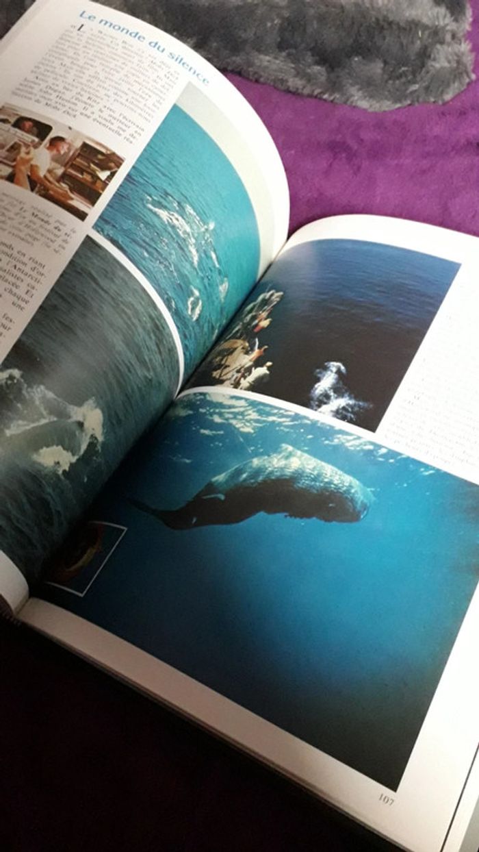 Livre Cousteau - photo numéro 6