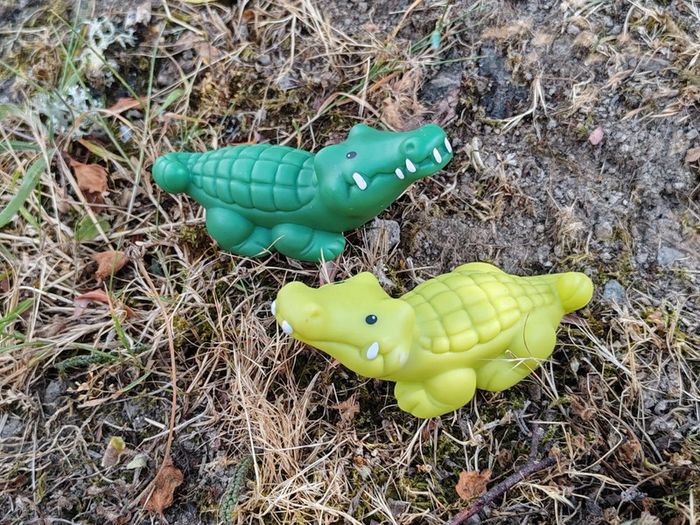 Couple de crocodiles little people