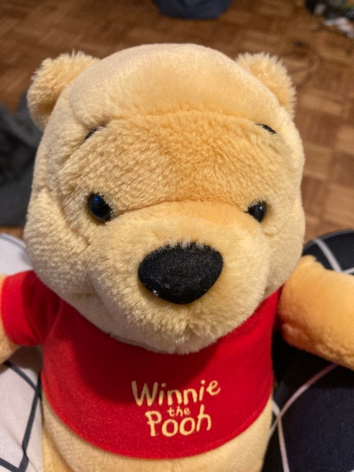 Peluche Winnie the pooh - photo numéro 2
