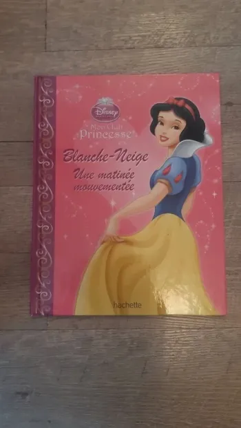 Lot de Livres disney princesses