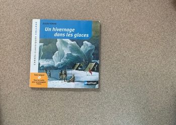 Livre un hivernage dans les glaces