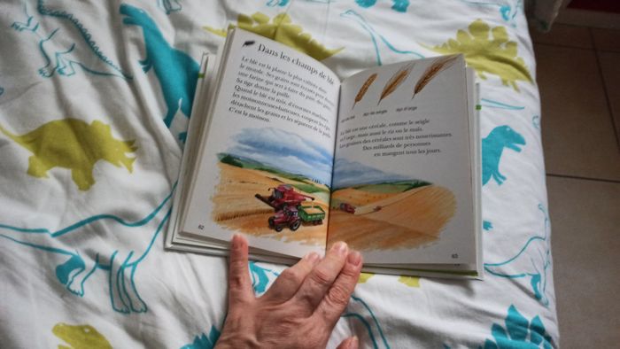 Livre Ma première encyclopédie A la ferme - photo numéro 8