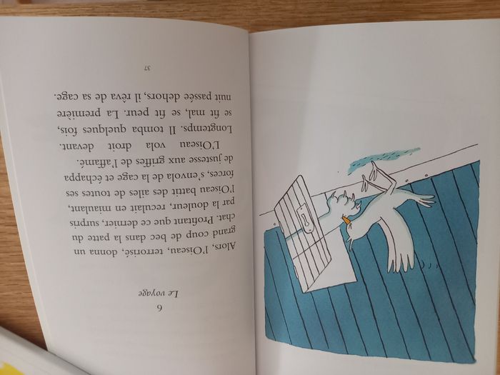 Oiseau Oiselle dès 6 ans - Neuf - photo numéro 4