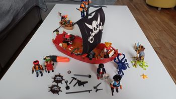 Lot Playmobil les pirates. 
