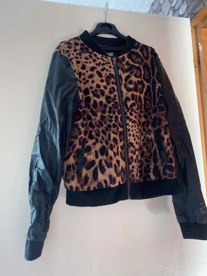 Veste - photo numéro 2