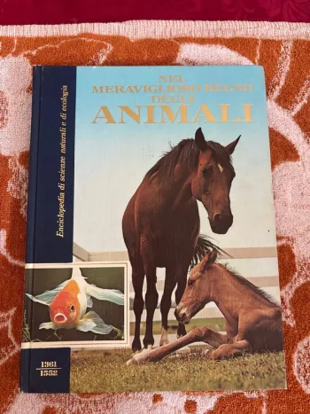 Bel meraviglioso regno d’église animali