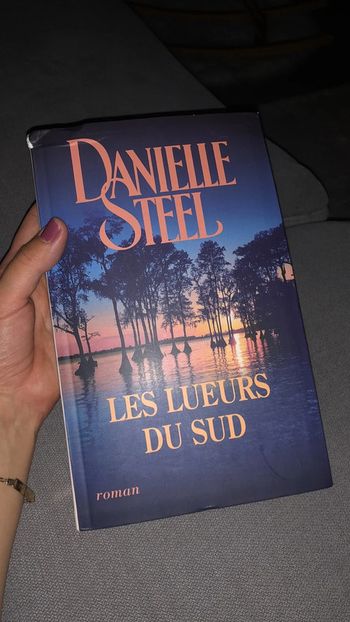 Livre les lueurs du sud