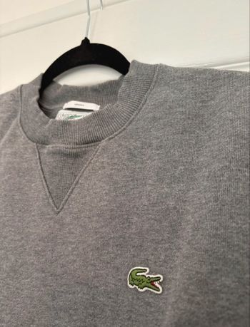 Sweat Lacoste gris 