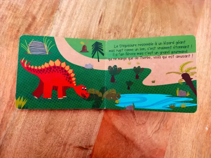 Livre cartonné : les dinosaures 🦕 - photo numéro 6