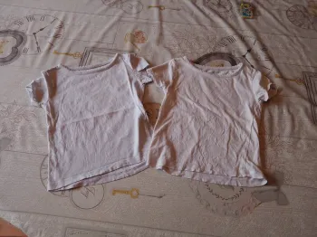 Lot 2 tee shirts 2/3 ans