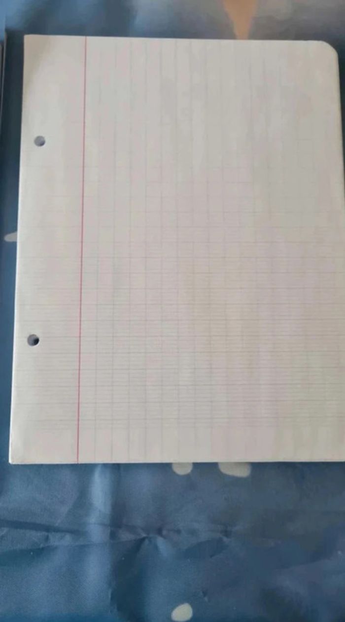 Lot  feuille  petit  et  grand  carreaux - photo numéro 4