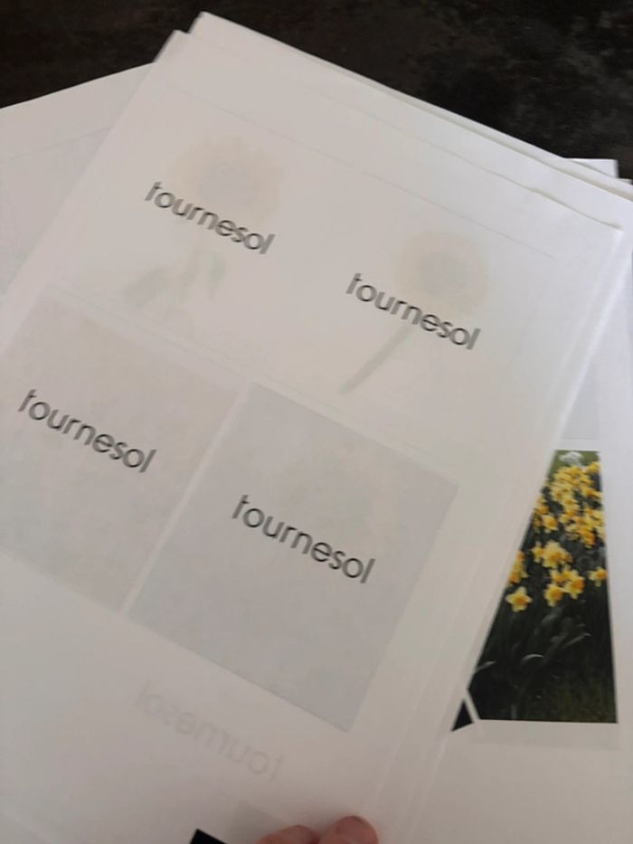 Cartes nomenclatures fleurs - photo numéro 3