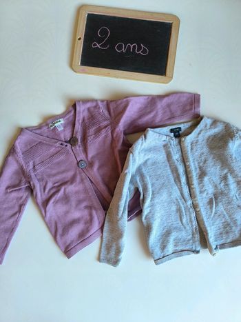 Lot de 2 gilets taille 2 ans en très bon état