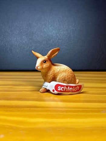 Lapin