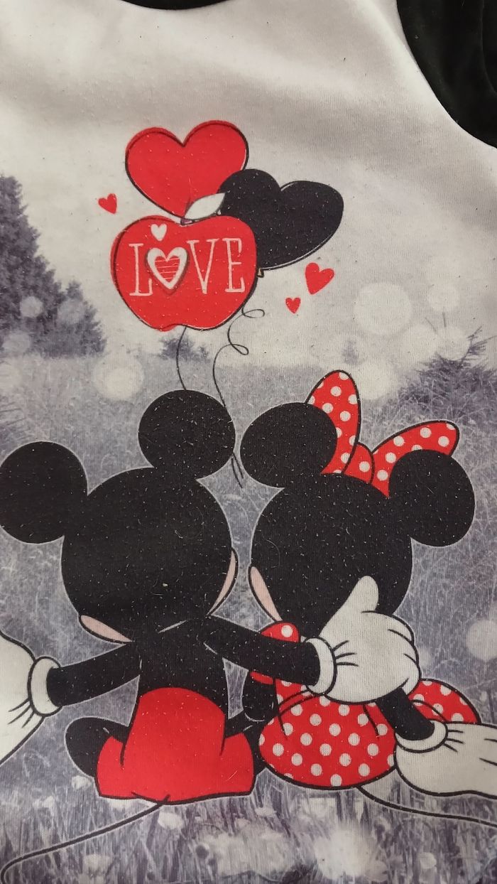Lot 2 pull robe Mickey - photo numéro 6