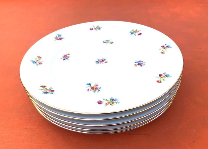 5 assiettes plates anciennes  Porcelaine P.N France - photo numéro 2