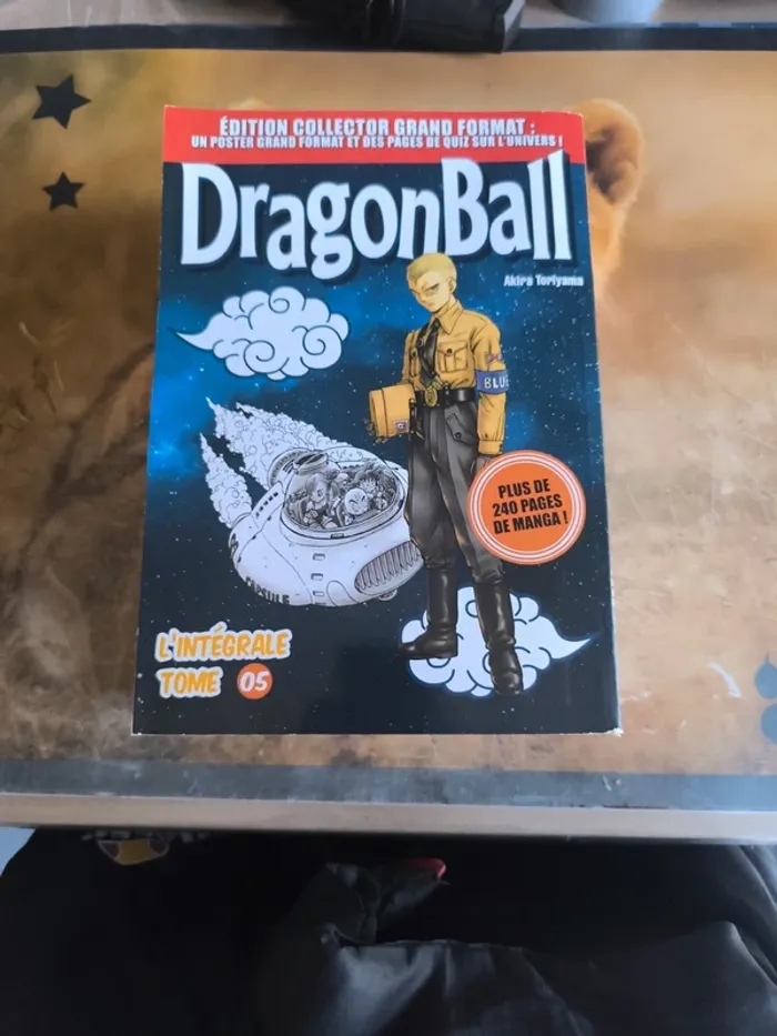 Livre dbz