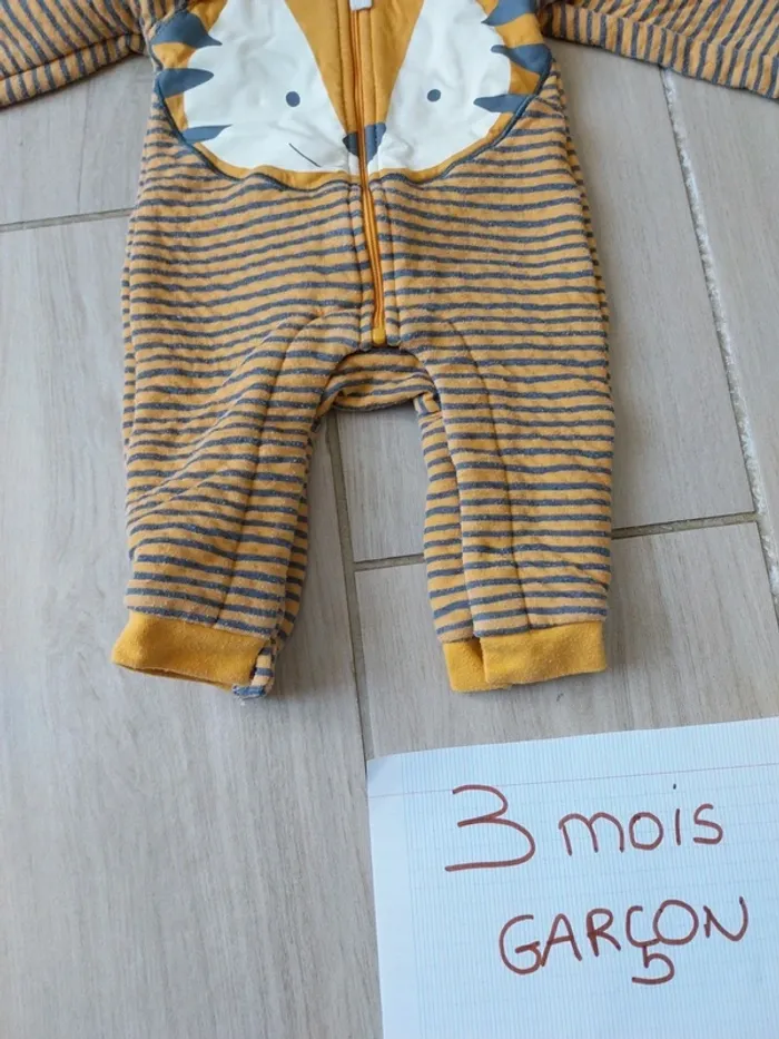 Combinaison tigre - photo numéro 2