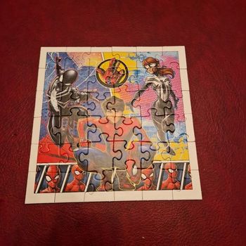 Puzzle spiderma