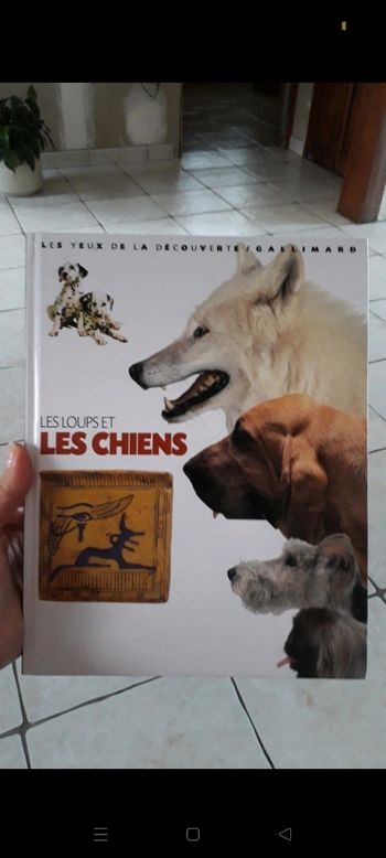 Les loups et les chiens