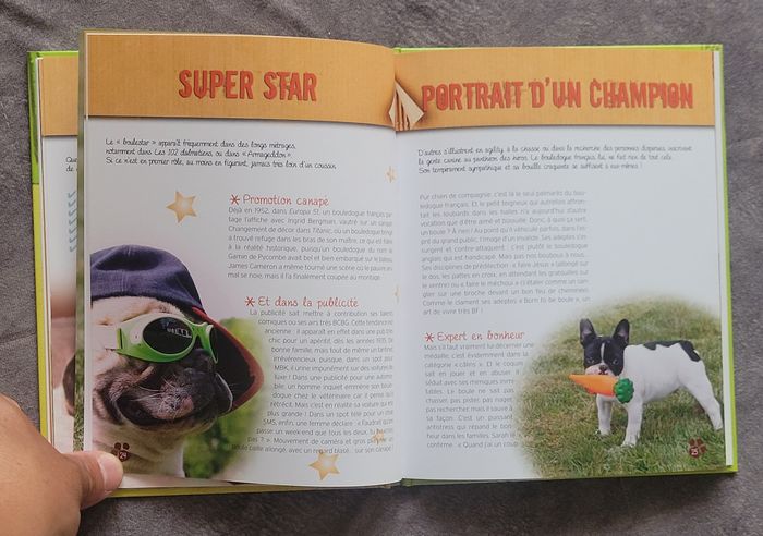 Le bouledogue français Emmanuelle Dal'Secco - photo numéro 5