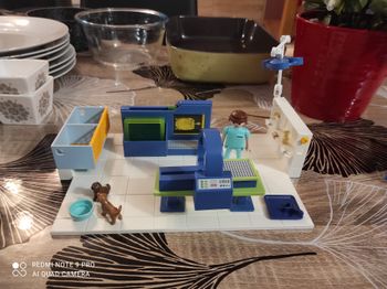Lot vétérinaire playmobil