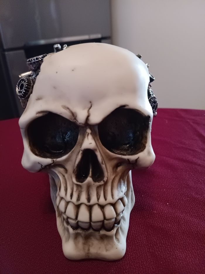 Crâne en résine steampunk - photo numéro 2