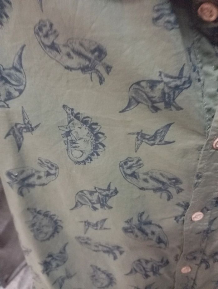 Chemise dinosaure 12 ans - photo numéro 2