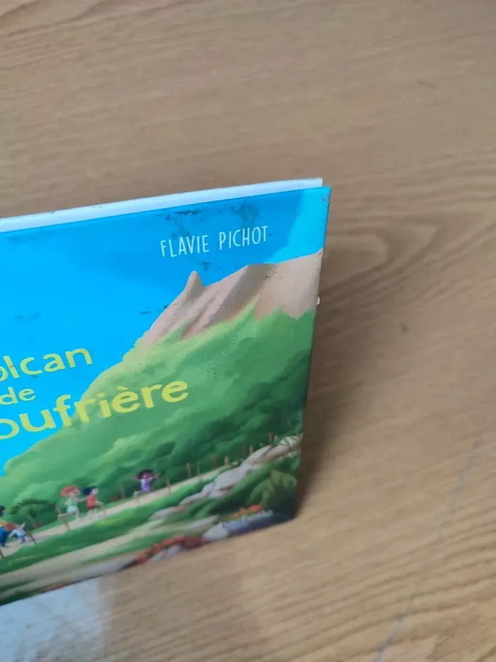 Livre le volcan de la Soufrière - photo numéro 5