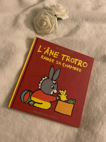 Livre l’âne trotro range sa chambre