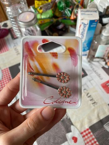 Barrettes pour les cheveux