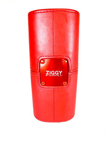 Étui à lunettes Ziggy de couleur rouge