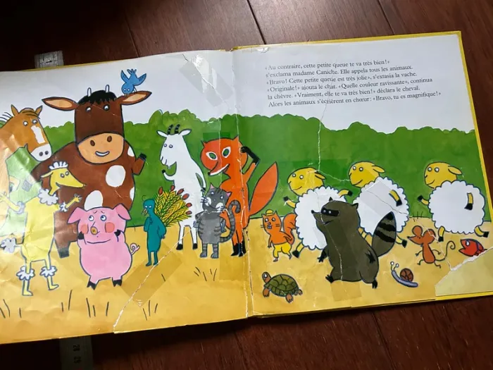 Cornicochon livre enfant - photo numéro 8