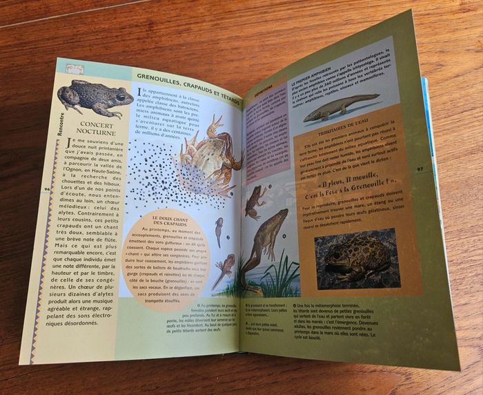 "L'encyclo nature".
190 pages.
ISBN : 2.7324.2429.3 - photo numéro 6