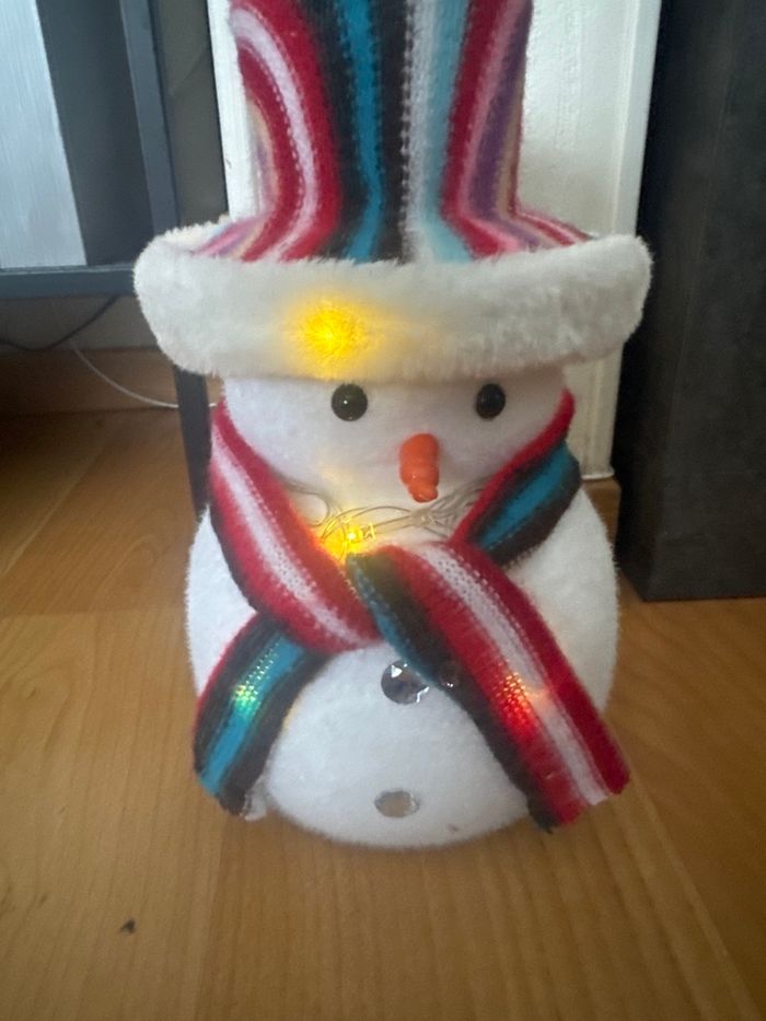 Bonhomme de neige - photo numéro 2