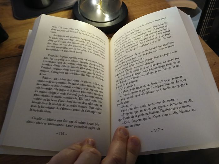 LIVRE CARNET DE ROUTE DE MARIE LOPEZ - photo numéro 3