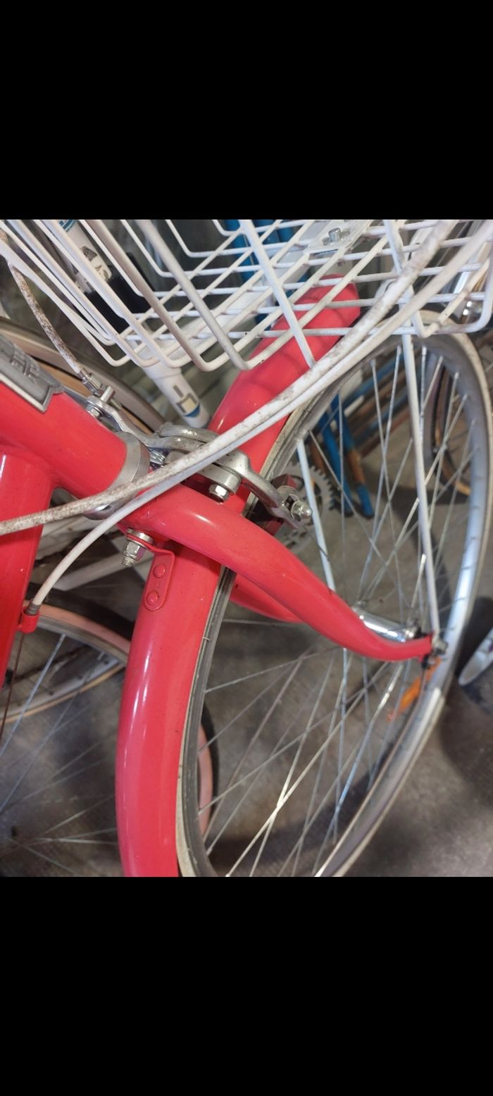 Vélo - photo numéro 2
