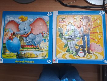 Lot 2 puzzles 1er âge