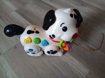 Chien dalmatien 1,2,3